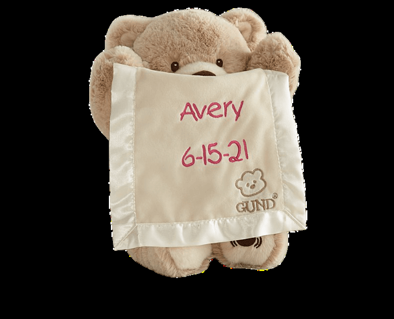 Interactive plush teddy bear toy with educational features for toddlers